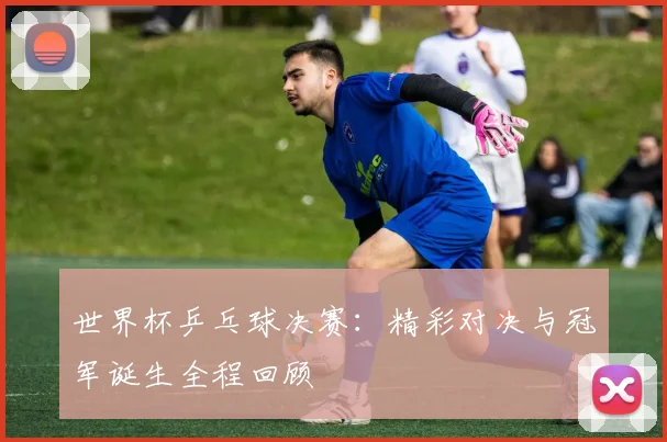 世界杯乒乓球决赛：精彩对决与冠军诞生全程回顾