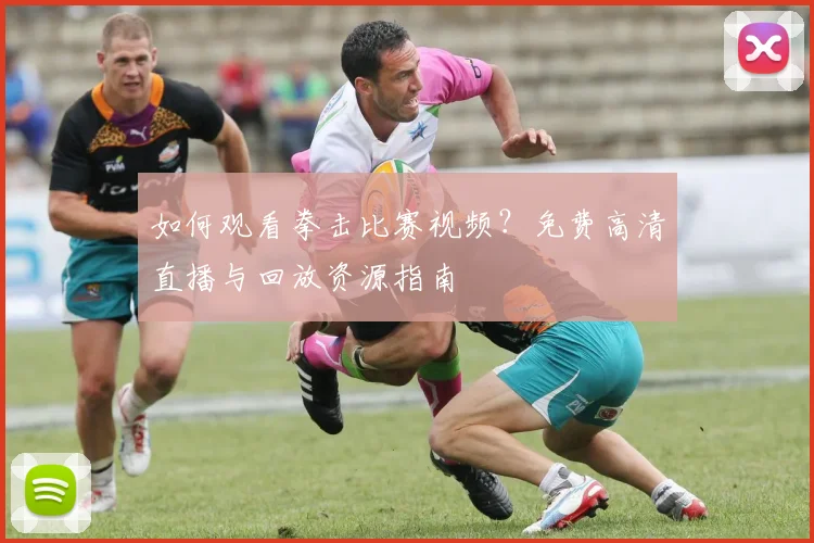 如何观看拳击比赛视频？免费高清直播与回放资源指南