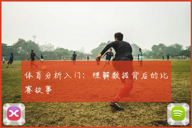 体育分析入门:理解数据背后的比赛故事