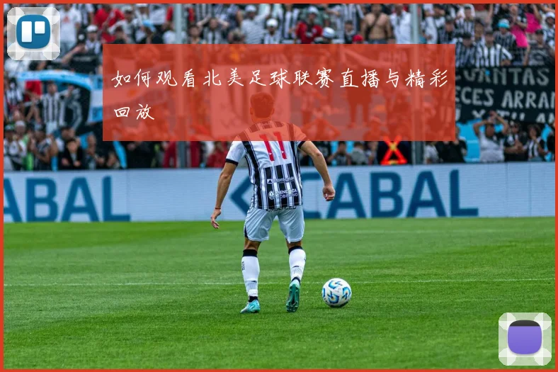 如何观看北美足球联赛直播与精彩回放