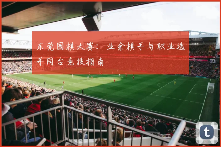 东莞围棋大赛:业余棋手与职业选手同台竞技指南